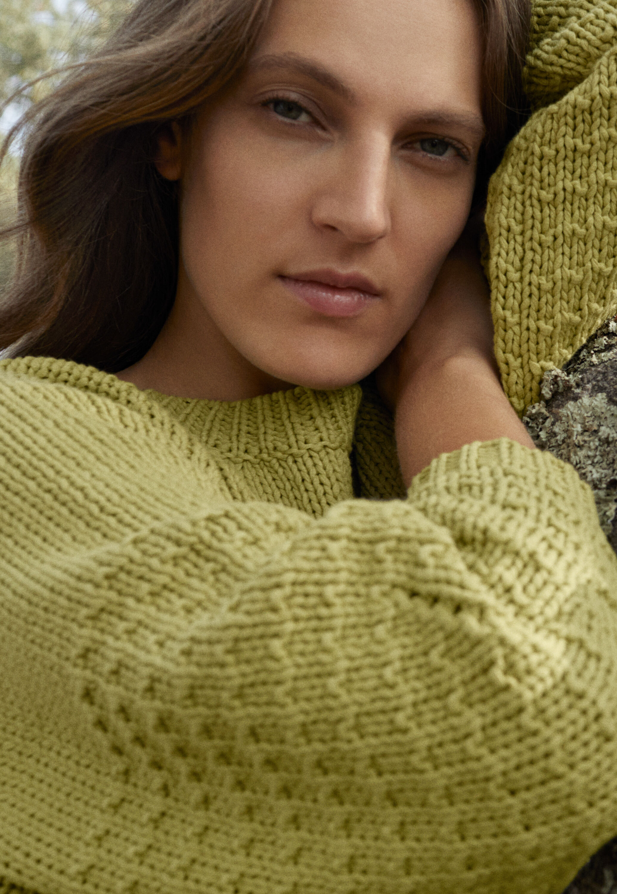 Pullover mit eingestricktem Muster