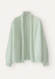 Schalkragen-Cardigan, Zartes Mint, webstill